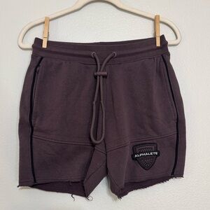 Alphalete Men’s Varsity Shorts in Purple XS